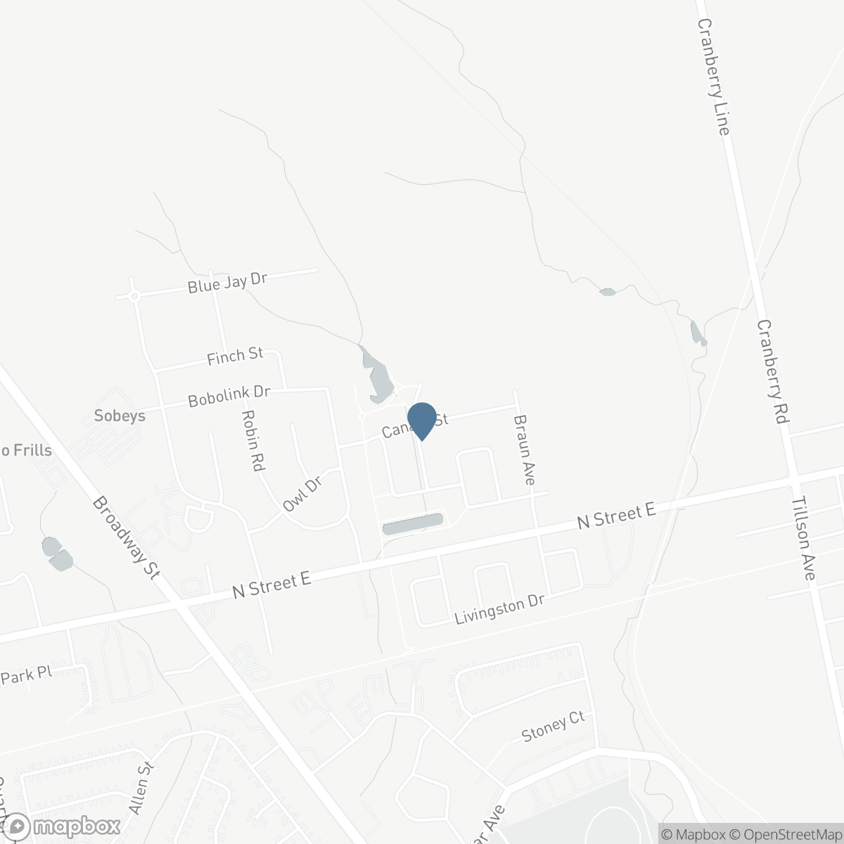 38 CANARY Street, Tillsonburg, Ontario N4G 0K3